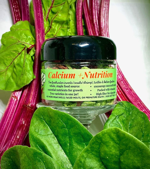 Calcium + Nutrition for Picky Eaters - Snails, Shrimp, Bottom Dwelling Fish, Plecos, Crabs, and More!
