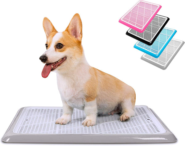 Pet Awesome Dog Potty Tray/Puppy Pee Pad Holder 25x20 Indoor Wee Training