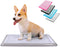 Pet Awesome Dog Potty Tray/Puppy Pee Pad Holder 25x20 Indoor Wee Training