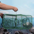 19.7ft Alwonder Minnow Crab Fish Trap, Foldable Crawfish Crayfish Trap with Luminous Rope and Bait Clip, Crab Traps