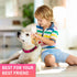 Adjustable Dog Collar with Safety Lock Buckle - Made in USA, Honeycomb Waterproof Heavy Duty Collar for Medium Large