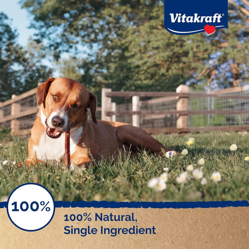 6 Inch, 5 Count, 6 oz Vitakraft Dog Bully Sticks, Thick, All-Natural Beef Chews for Dogs