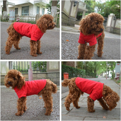 Lovelonglong Pet Clothing Dog Costumes Basic Blank T-Shirt Tee Shirts for Small Dogs, Red S