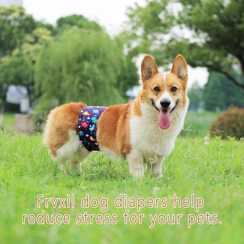 3 Pack Count, 3) Washable Male Dog Diapers: Reusable Belly Bands for Puppy - Absorbent Doggy Wraps (Dinosaur, Small
