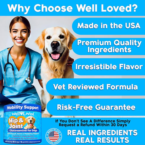 120 Well Loved Glucosamine for Dogs - Joint Supplement for Dogs, Made in USA, Vet Developed, Glucosamine Chondroitin