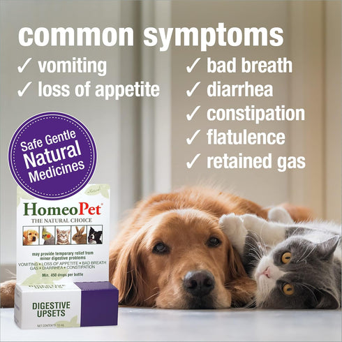 HomeoPet Digestive Upsets, Natural Digestive Support Supplement for Dogs, Cats, and Small Pets, 15 Milliliters