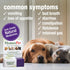 HomeoPet Digestive Upsets, Natural Digestive Support Supplement for Dogs, Cats, and Small Pets, 15 Milliliters