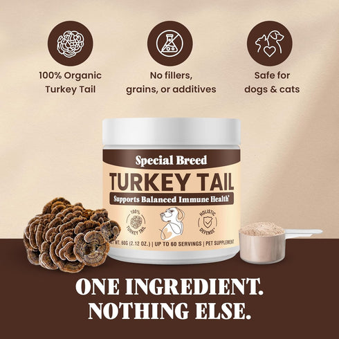 Immune 60 Organic Turkey Tail Mushroom for Dogs and Cats, Support with Beta Glucans and Polysaccharides, Digestive