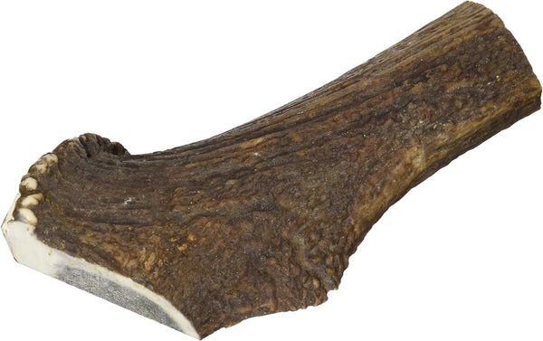 Arquivet Deer Antler for Dogs - 100% Natural - Dog Teether - Anti-Allergic