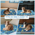 HuaZiChok 72x72 Inch (1 Pack) Washable Pee Pads for Dogs - Thick Heavy Absorbent Reusable Pet Training Pads, Leakage