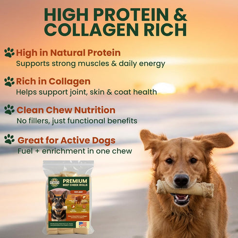 8 Pack 10 Inch Beef Cheek Rolls for Dogs Digestible Rawhide Alternative Chews, Long Lasting Dental Treats, Single