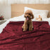 PetAmi Waterproof Dog Blanket for Small Medium Dog, Reversible Sherpa Fleece Cat Blanket, Washable Throw Couch Cover