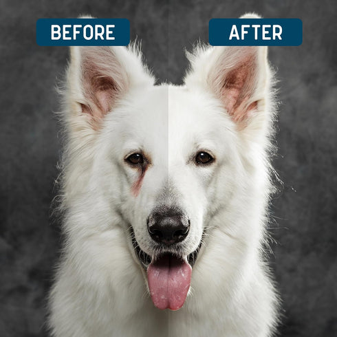 Tear Stain Remover for Dogs and Cats - 4 oz Solution - Dissolves Eye Buildup and Gunk, Reduces Staining - Water Based with Aloe Vera and Cucumber Extract - Chew + Heal