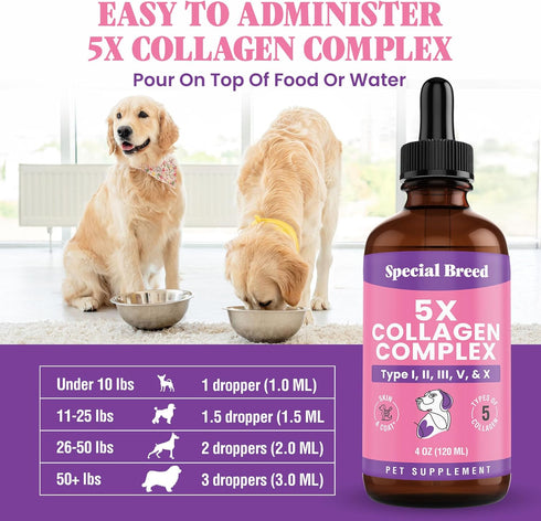 Immune 4oz Premium Collagen for Dogs - Liquid Support for Joints, Skin, Coat, Bone, System & HIPS - Collagen Supplement