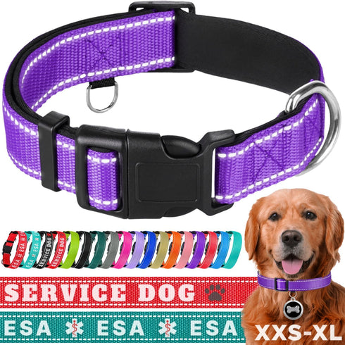 TECEUM Reflective Purple Pet Collar, L, Extra Soft Padding, Basic Nylon Dog Collar with Quick Release Buckle