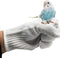 Bird Training Anti-Bite Gloves Protective Gloves for Small Animal Handling (1 Pair White)