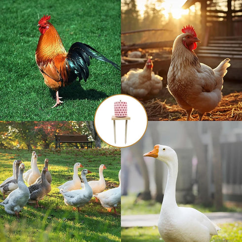MHLLGN Chicken Coop Accessories, Beak Grinding Calcium Stone with Woodem Stake, Chicken Enrichment Toys, Chicken Coop