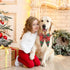 Malier Christmas Classic Plaid Dog Collar with Bow Tie, Soft Durable Holiday Collar for Small Medium Large Dogs (Red &