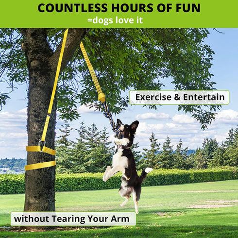 2 Dog Hanging Bungee Tug Toy: Interactive Tether Tug-of-War for Pitbull Small to Large Dogs to Exercise and Fun Solo