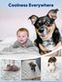 2.0, 36"*27" (Q-Max>0.5), Summer Rywell Dog Cooling Mat Elegant Grey, Thick & Durable Cooling Mat for Large Dogs
