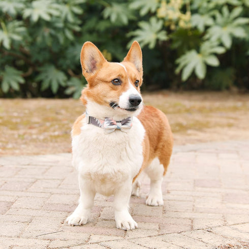Ultra Joys Dog Collar with Bowtie, Soft Cotton Fabric with Durable Metal Buckle in Boho Aztec Design, Small Size