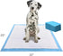 Four Paws Wee-Wee Ultimate Attractant Dog Pee Pads, 10 Count, Leak-Proof Quilted Potty Training Pads