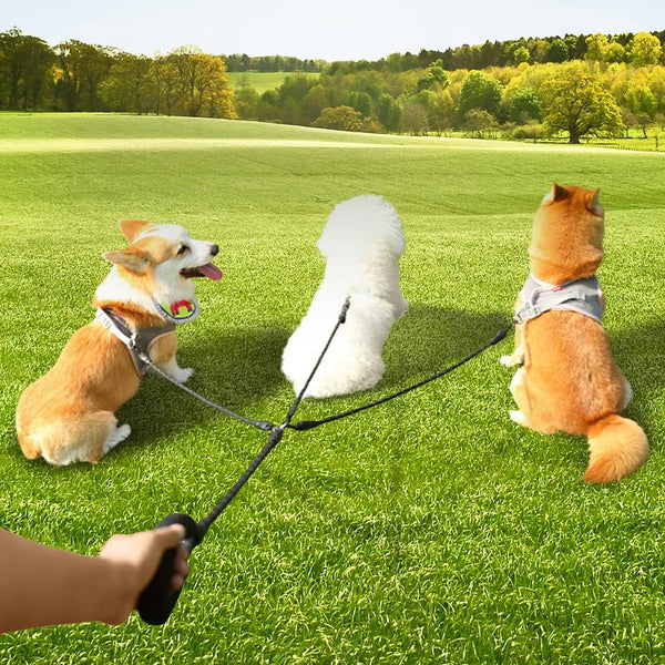 Three Dog Leash, Comfortable Double Dog Leash with Reflective, 360 Swivel No Tangle Training Leash for Large Medium
