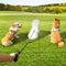 Three Dog Leash, Comfortable Double Dog Leash with Reflective, 360 Swivel No Tangle Training Leash for Large Medium