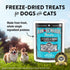 Northwest Naturals Raw Rewards Freeze-Dried Minnow Treats for Dogs and Cats, 1 Oz (Pack of 3)