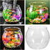 Small Glass Fish Bowl, Plastic Aquarium Goldfish Tank for Desktop Turtle Tank, Micro Landscape Decoration (16.5x16.5cm)