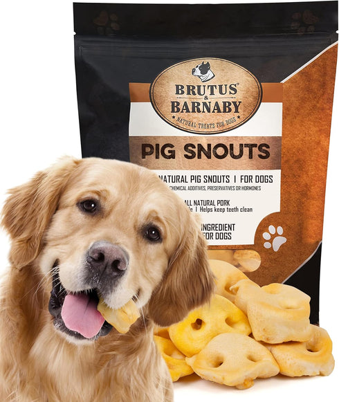 BRUTUS & BARNABY Pig Snout Dog Treat - 100% Natural, Healthy, Easy to Digest, Chemical & Hormone Free Chew