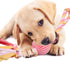 Latex Rope and Ball Dog Chew Toy for Training, Exercise, Agility, Chase (Ball)