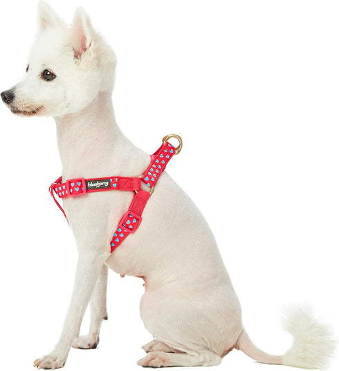 Blueberry Pet Adjustable Step-in Dog Harness - Velvety Heart Flocking Valentine’s Day for Medium Dogs, Lust Red