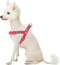 Blueberry Pet Adjustable Step-in Dog Harness - Velvety Heart Flocking Valentine’s Day for Medium Dogs, Lust Red