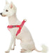 Blueberry Pet Adjustable Step-in Dog Harness - Velvety Heart Flocking Valentine’s Day for Medium Dogs, Lust Red