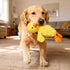 5 Pack Prime Pets Plush Squeaky Dog Toys, No Stuffing Bodies, Crinkle Pet Toys for Small Medium Large Dogs, Puppy Chew