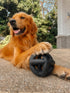 Tuff Pupper SuperChewy Cage Ball for Dogs | Durable Heavy Duty Natural Rubber | Tough Chew Toy for Medium Large Breeds