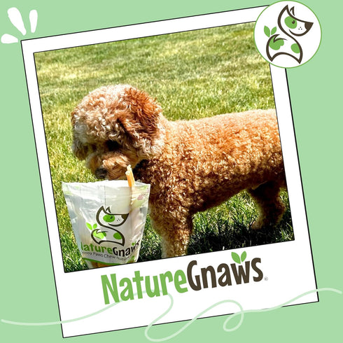 4-5" (12 Count) Nature Gnaws Beef Tendons for Dogs - Mixed Thickness - Long Lasting for Small and Medium Dogs - Natural