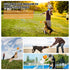 iFur Interactive Tug of War Dog Toy, Pumpkin Fetch Toy, Tough Chew Toys for Small Medium Large Dogs, Indoor/Outdoor