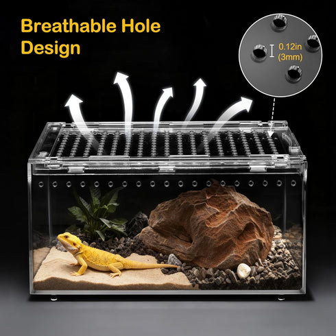 Large Reptile Terrarium Kit,Escape Proof Tarantula Enclosure,PC Starter Hermit Crab Tank,Spider Habitat for Praying