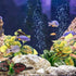 Reptile Artificial Plants, Terrarium Decorations Supplies, Aquarium Fish Tank Plant, Amphibian Habitat Accessories (M