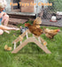 PETSFIT Chick Perch Prevent Rotation Design, Strong Wooden Chicken Roosting Bar, Easy to Assemble and Clean, Fun Toys