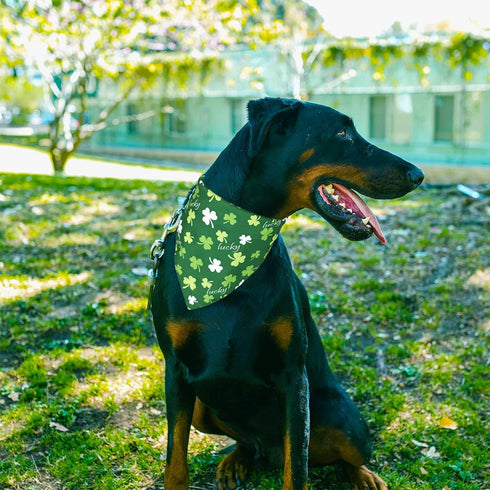 2 Pack, LosFong St. Patrick's Day Dog Bandanas Reversible Triangle Shamrocks Leprechaun Hat Pet Scarf for Boys