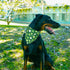 2 Pack, LosFong St. Patrick's Day Dog Bandanas Reversible Triangle Shamrocks Leprechaun Hat Pet Scarf for Boys