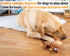 Squeaky Dog Toys for Boredom, No Stuffing Tug-of-War Toy with Crinkle Paper, Interactive Elastic Puppy Toys for All