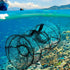 18x33cm UPKOCH Foldable Fish Trap Cage Crab Shrimp Fishing Net Trap with Spring Frame, Black Mesh Two-Hole Design