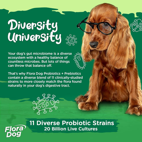 Vital Planet Flora Dog Probiotics, 30 Natural Bacon Flavored Chews with 20 Billion Cultures, Immune Support
