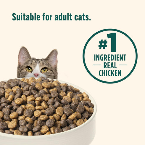 6 lb. Packaging Nutrish Indoor Complete Chicken, Lentils & Salmon Recipe Dry Cat Food, Bag, May Vary (Rachael Ray)