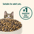 6 lb. Packaging Nutrish Indoor Complete Chicken, Lentils & Salmon Recipe Dry Cat Food, Bag, May Vary (Rachael Ray)