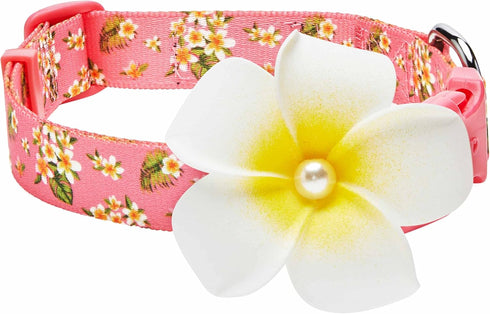 Blueberry Pet Summer Sparkle Dog Collar, Adjustable Large Size, Neck 18"-26", Tropical Flower Baby Pink Hibiscus Floral